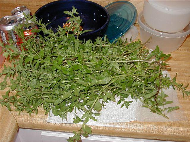 More oregano