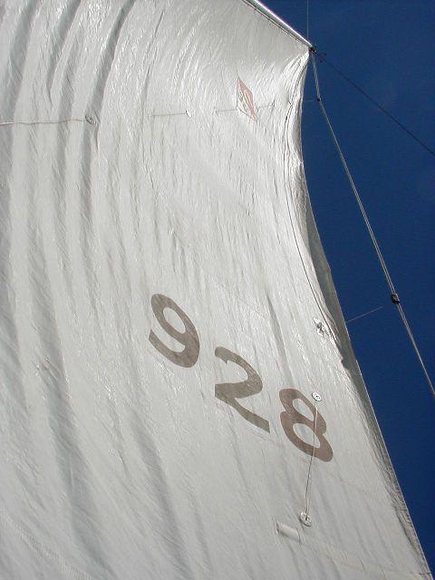 Up the mainsail