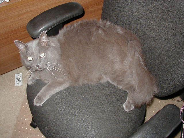 jakeschair.jpg