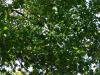 DSC01601.JPG